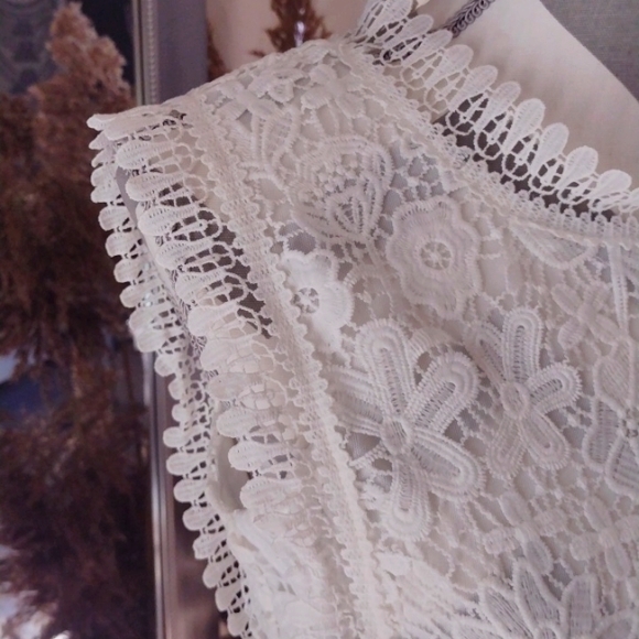 Pink Lily white overlay lace dress - Picture 4 of 9